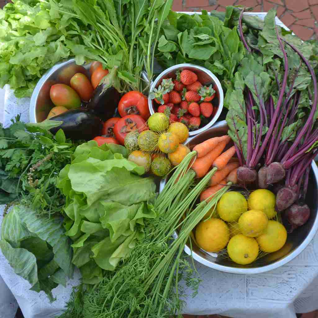 Dieta Vegana